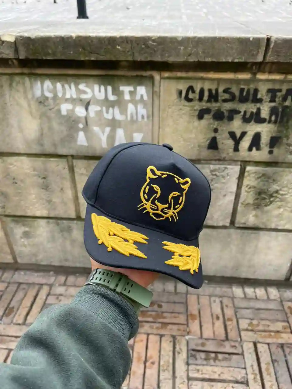 Gorra del Jaguar - Imagen 4