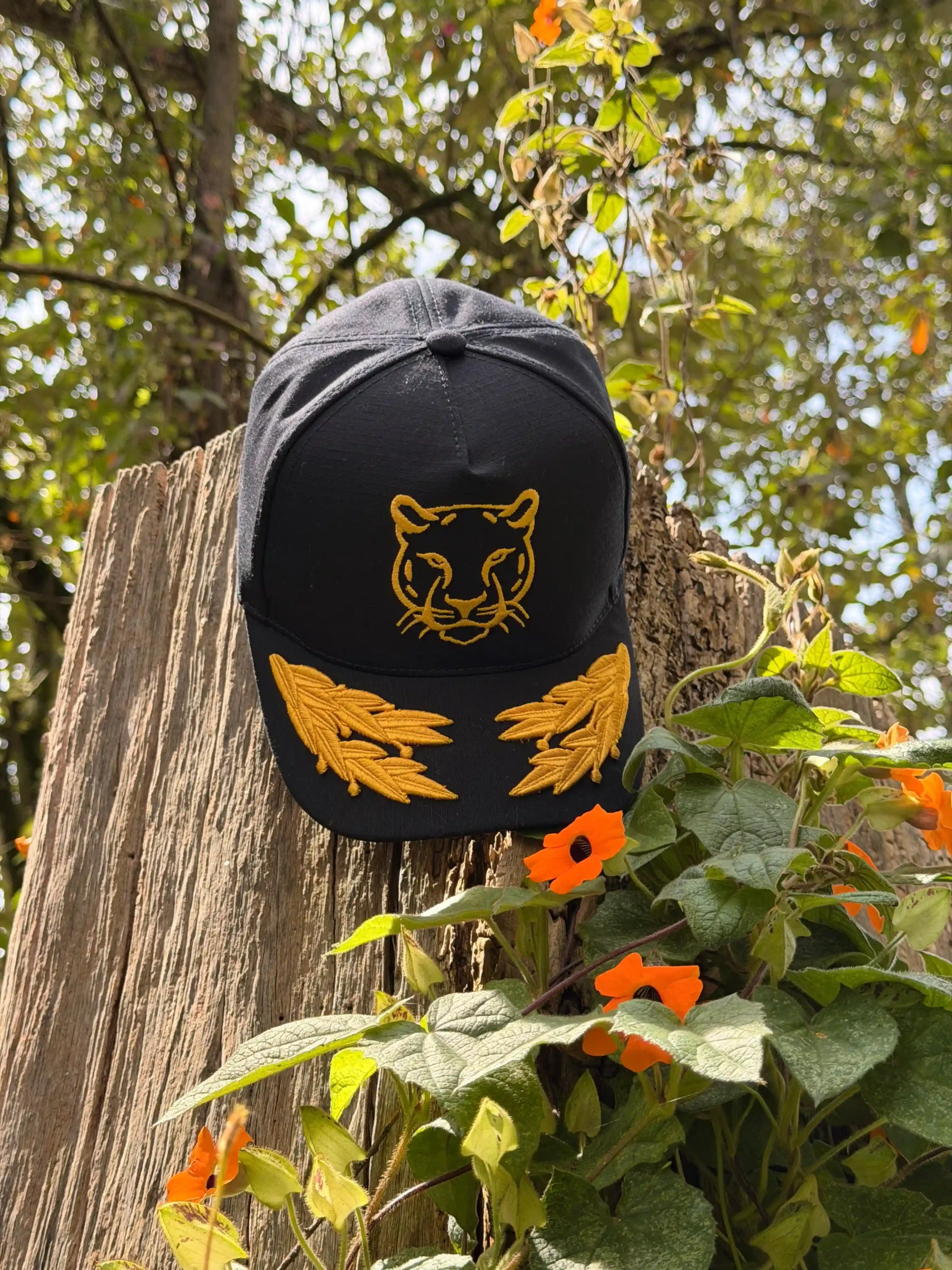 Gorra del Jaguar - Imagen 2